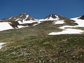 32_Fiori e neve